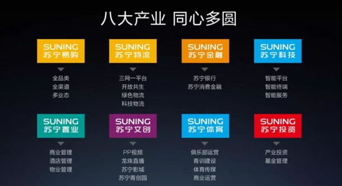 蘇寧易購復牌漲停的背后 物流與技術驅動的危機應對與未來挑戰